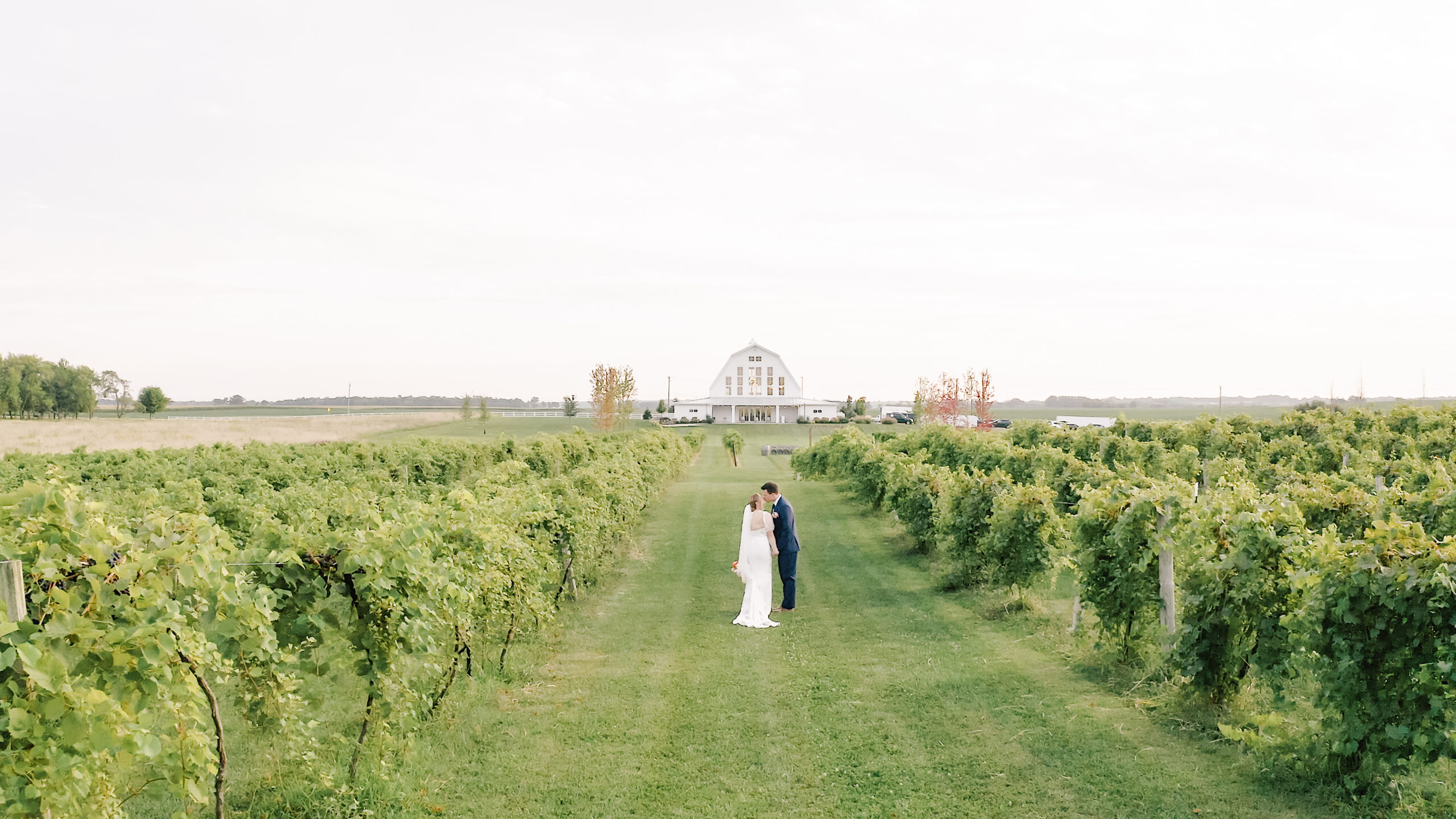 Providence Vineyard Wedding Video | Hebron, Illinois Wedding Venue | Chicago Wedding Videographer Chaviano Creative