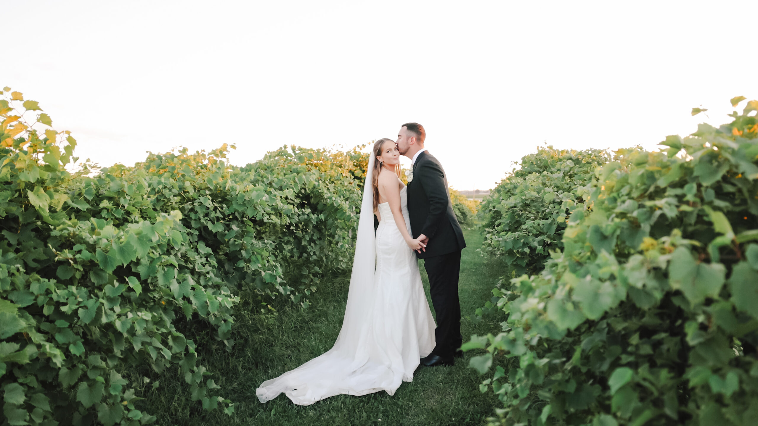 Providence Vineyard Wedding Video | Hebron, Illinois Wedding Venue | Chicago Wedding Videographer Chaviano Creative